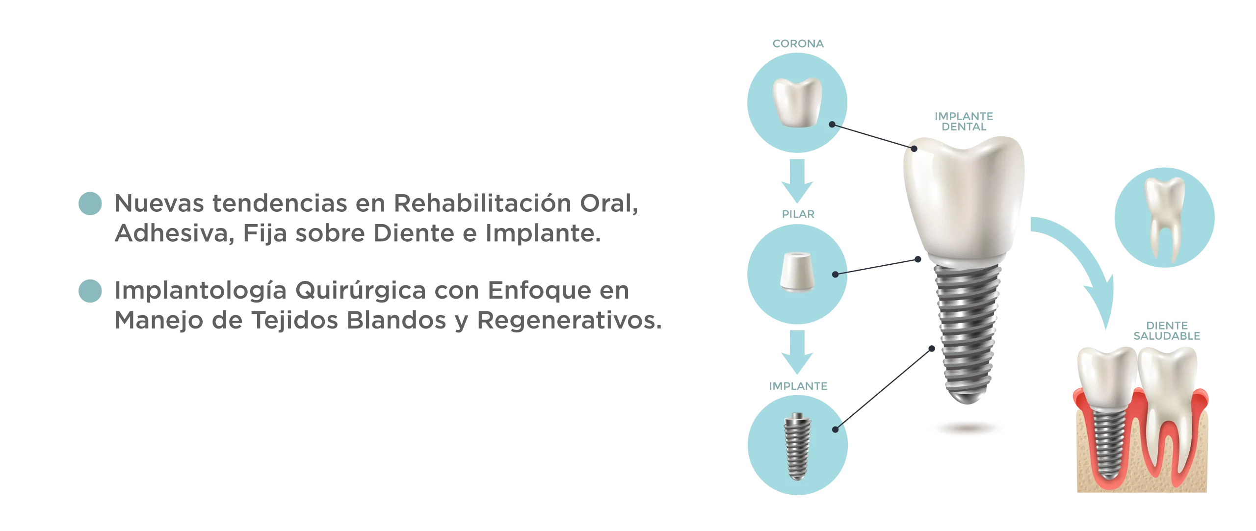 PLAN DE ESTUDIOS IMPLANTOLOGÍA