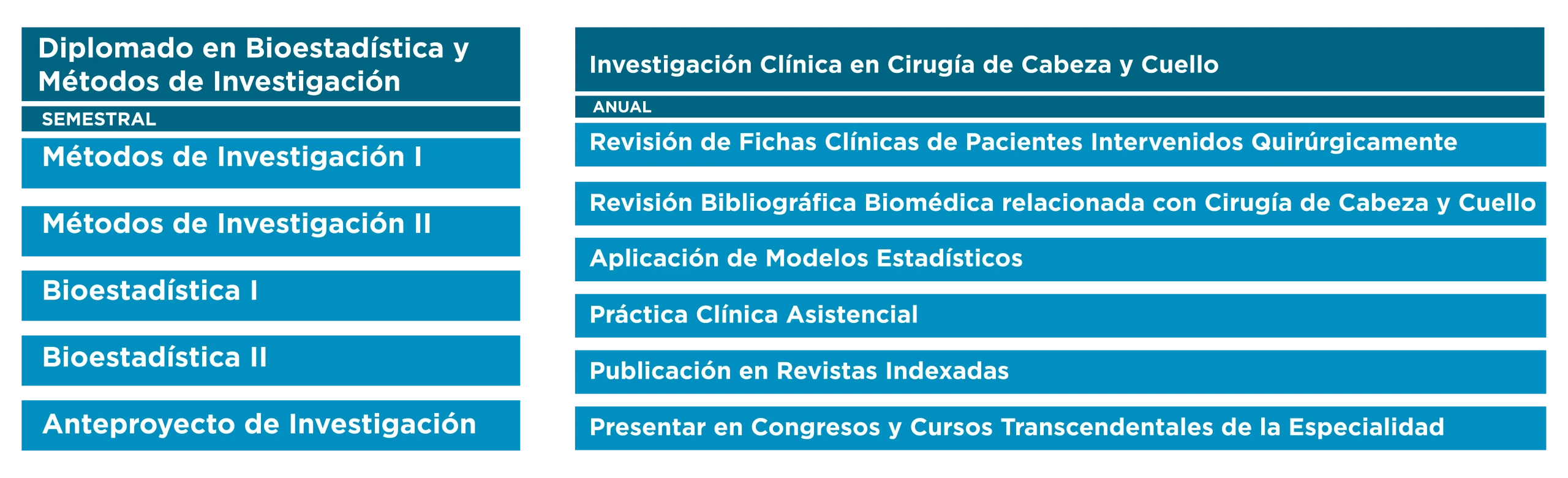 PLAN DE ESTUDIOS FELLOWSHIP DE CABEZA Y CUELLO