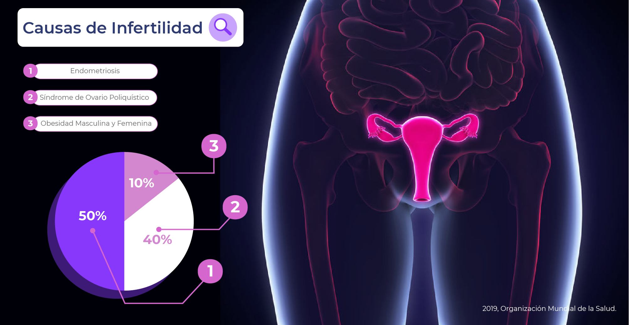 INFOGRAFÍA MED REPRODUCTIVA_