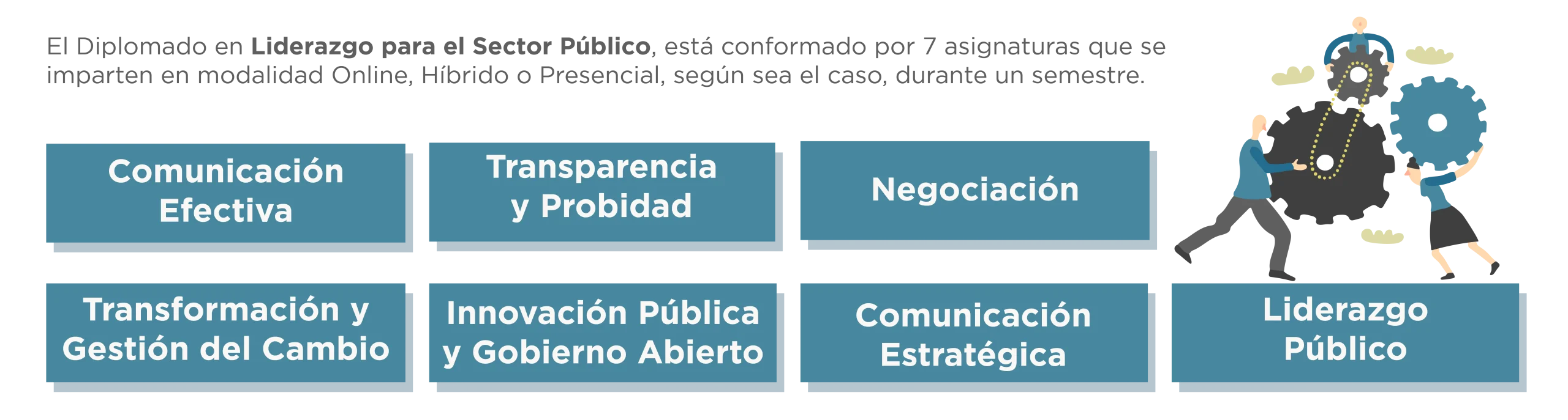 Plan de Estudios Diplomado en Liderazgo para el Sector Público 