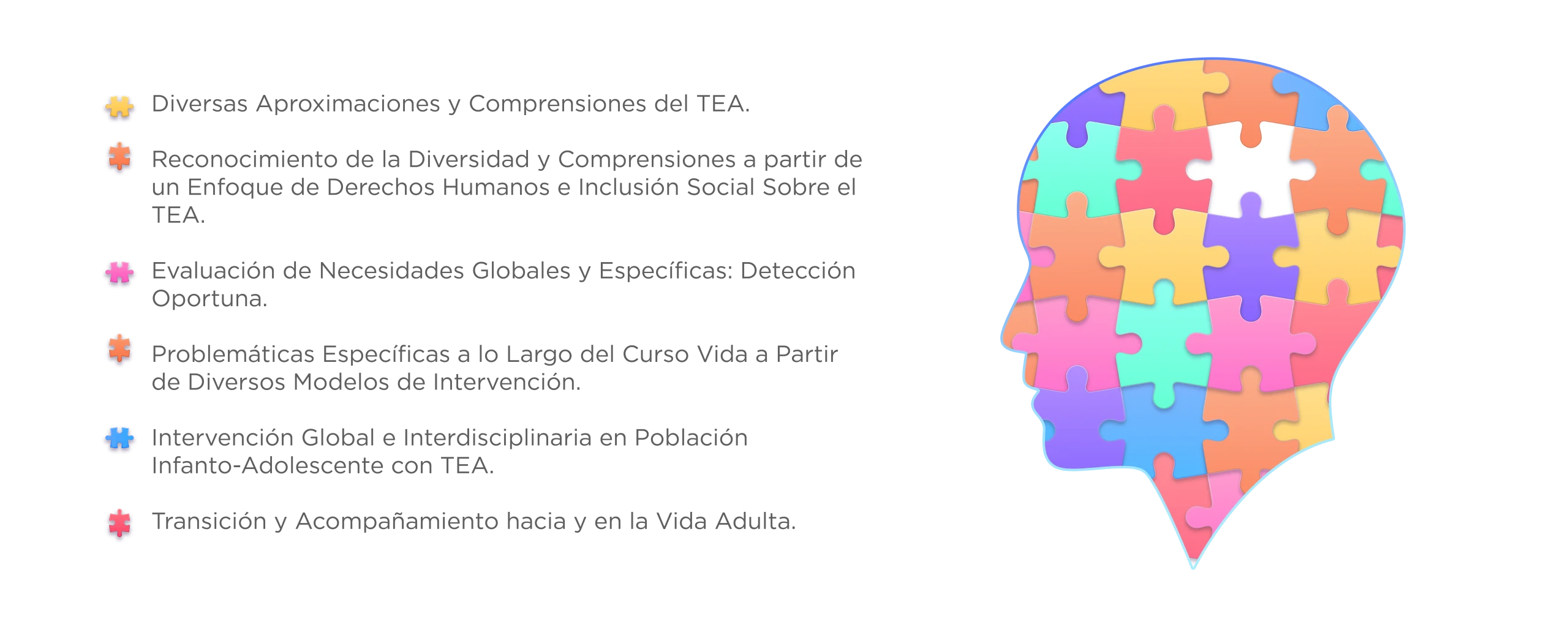 PLAN ESTUDIOS Diplomado Abordaje Interdisciplinario de Personas Autistas en el Curso de Vida