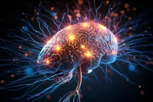 Diplomado en Neurociencia y Desarrollo Sensorio-Motriz