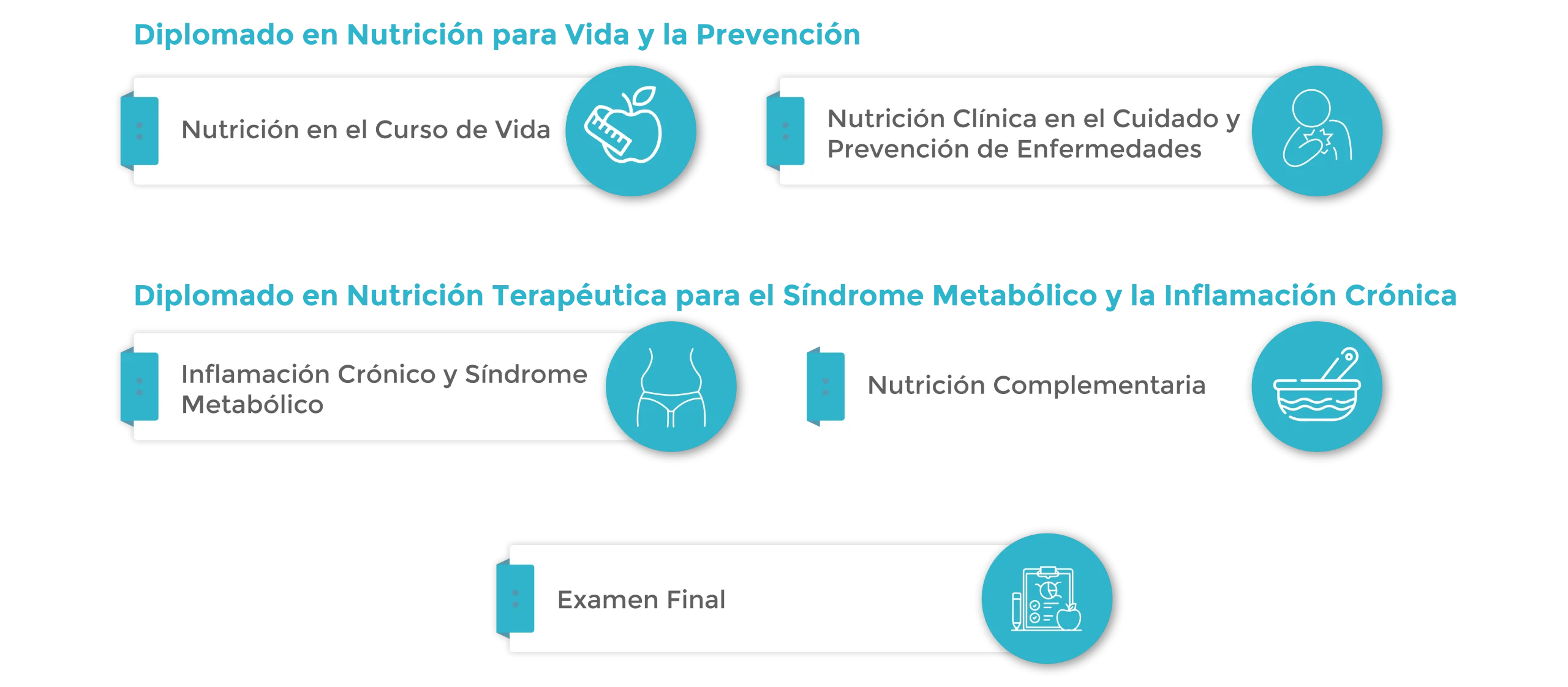 Plan de Estudios V2 Diplomado Certificate in Medical Nutrition