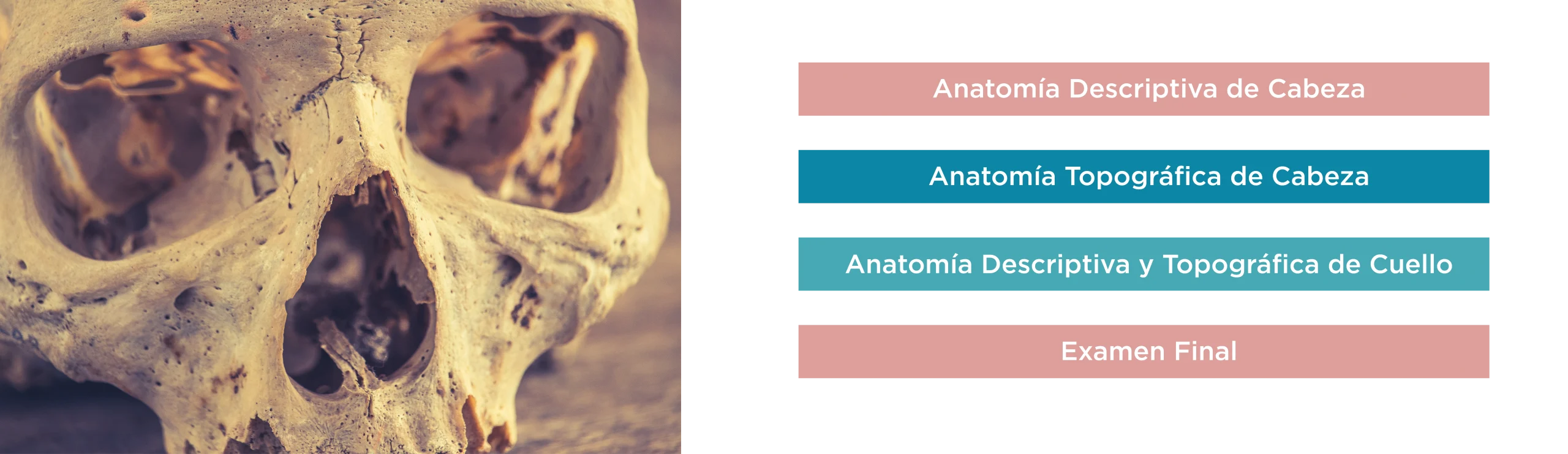 Plan de Estudios Diplomado en Anatomía de Cabeza y Cuello con Enfoque Clínico e Imagenológico