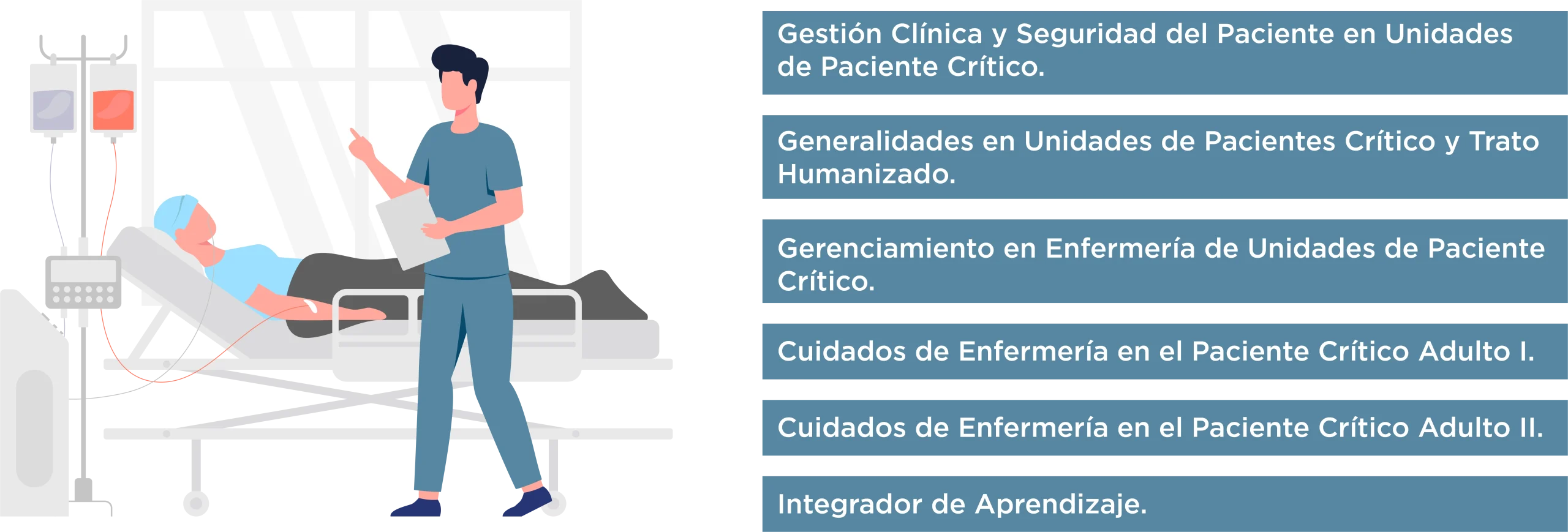 Plan de Estudios Diplomado en Cuidados de Enfermería del Paciente Crítico Adulto